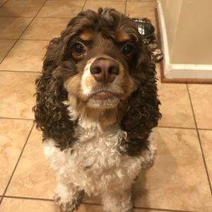 Meet your Posher, Melissa